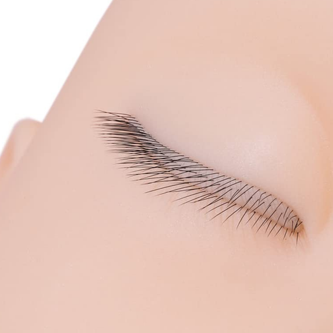 Realistic Practice Mannequin