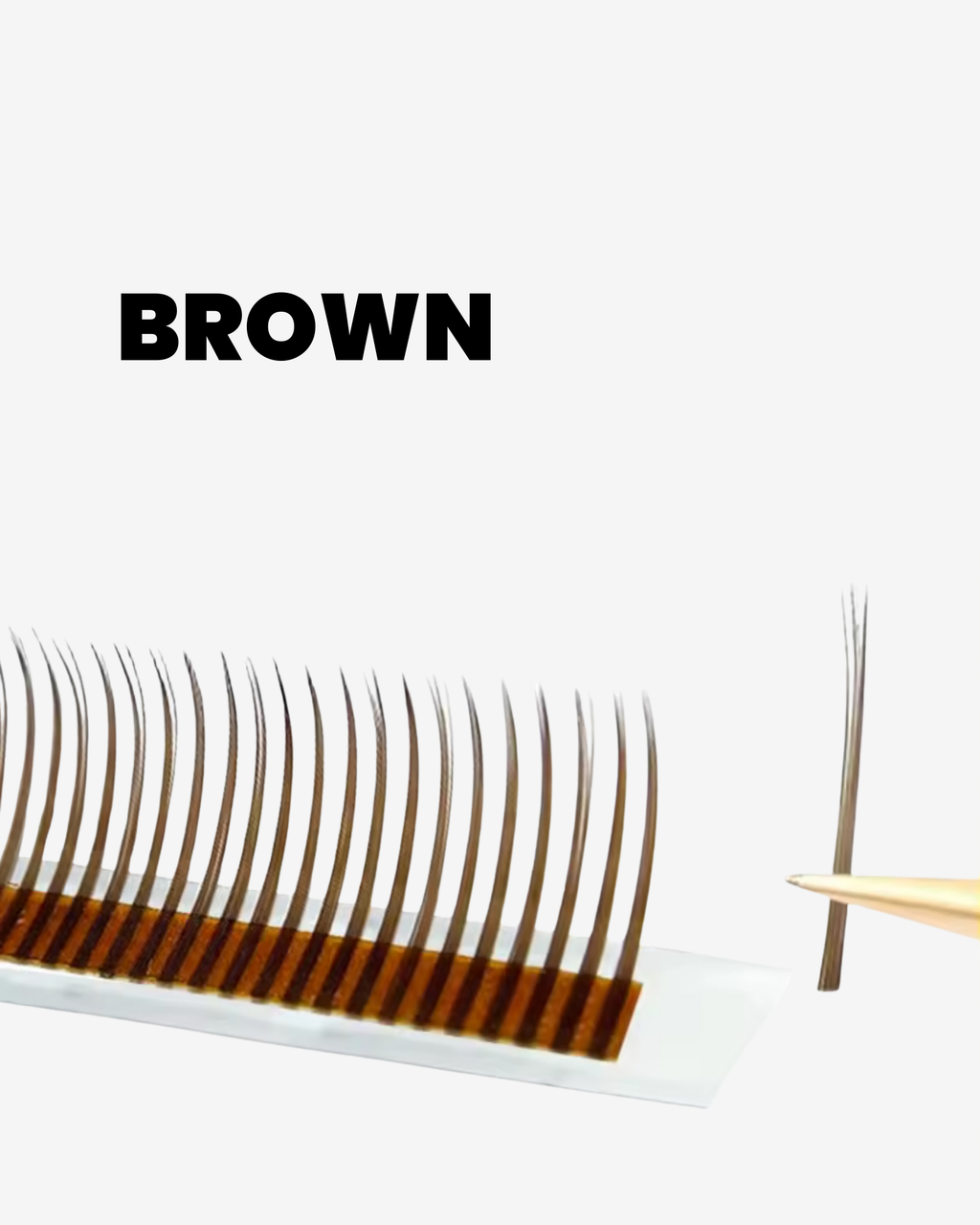 Maria Lashes 5D Closed Fan BROWN