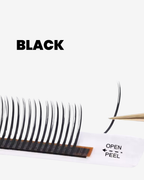 Maria Lashes 5D Closed Fan BLACK