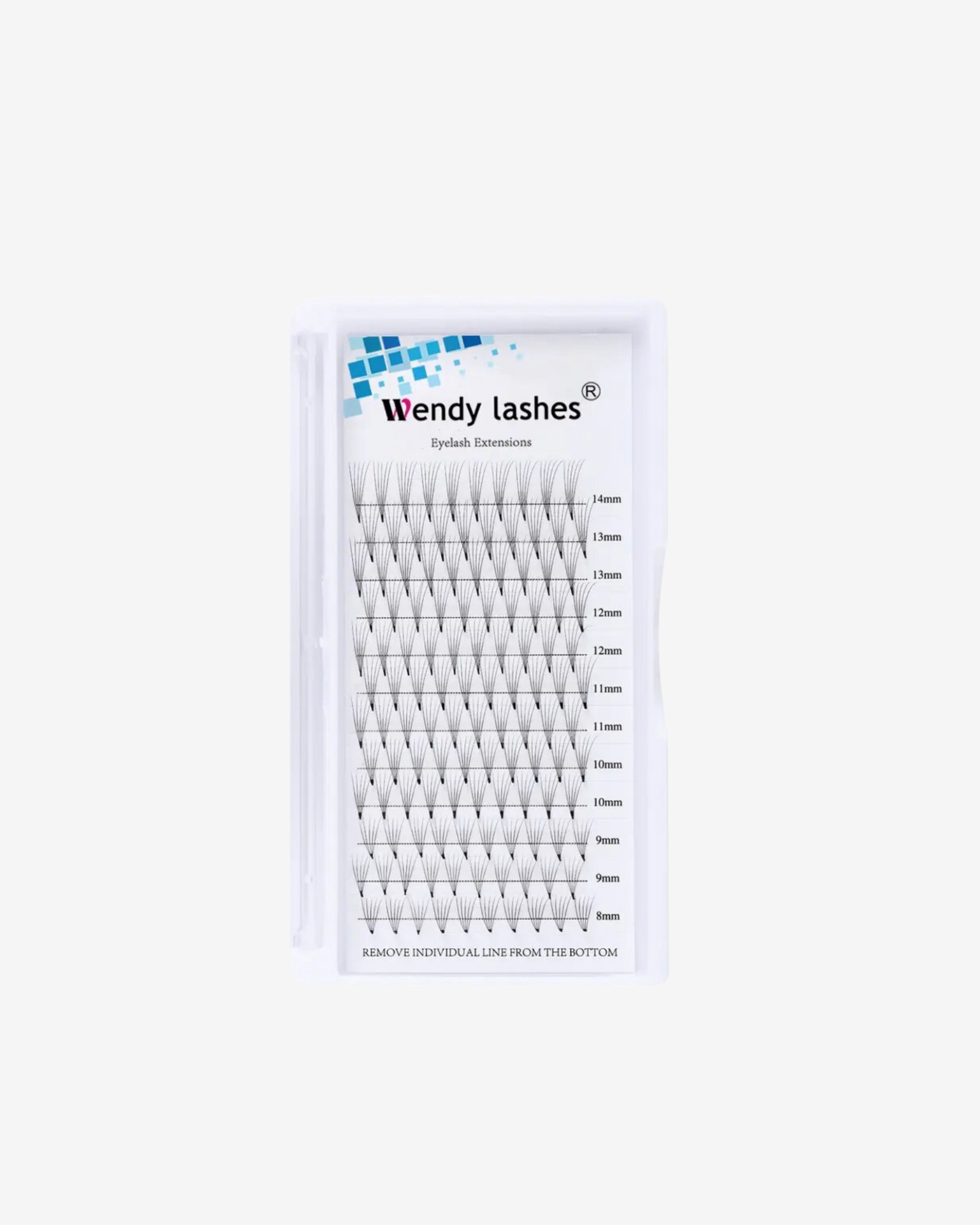 Wendy Promades SHARP BASE (120 fans)